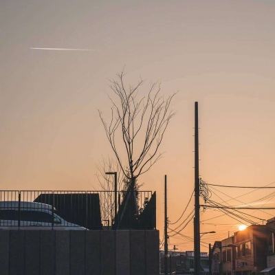 半岛综合娱乐appapp下载